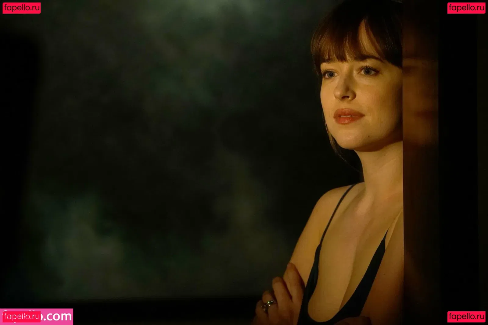 Dakota Johnson Onlyfans Photo Gallery 