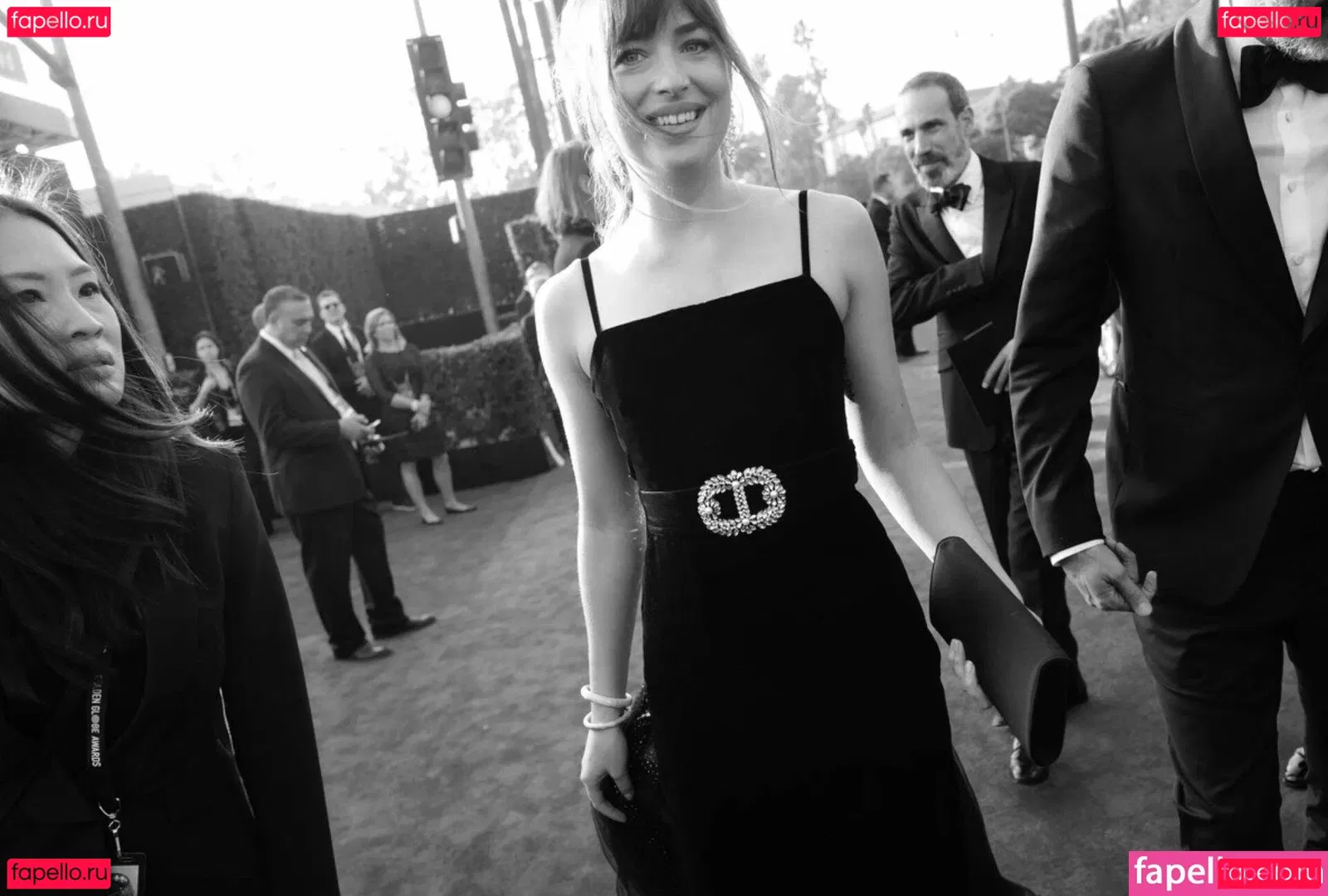 Dakota Johnson Onlyfans Photo Gallery 