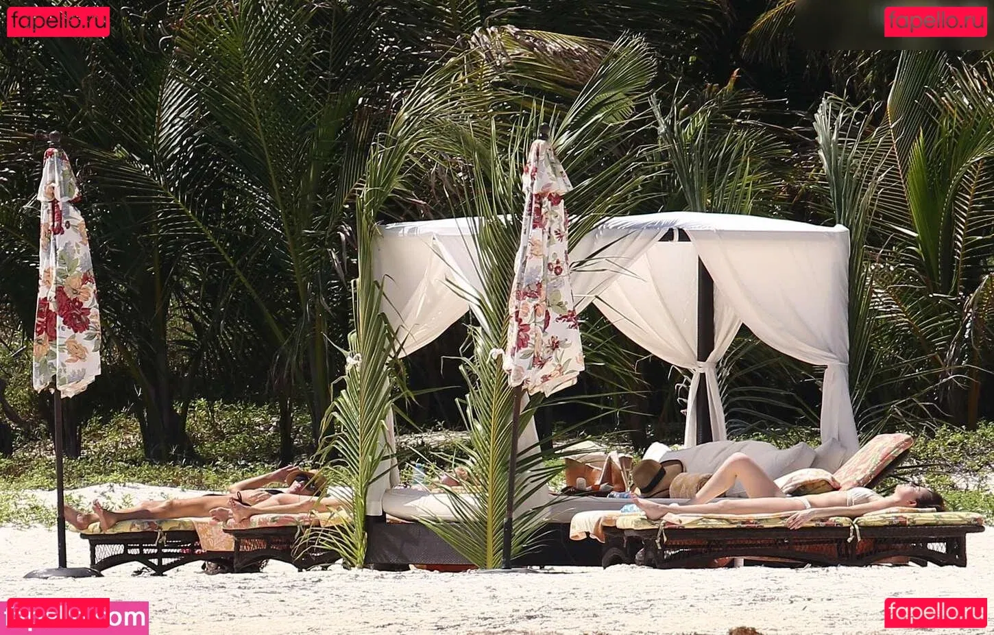 Dakota Johnson Onlyfans Photo Gallery 