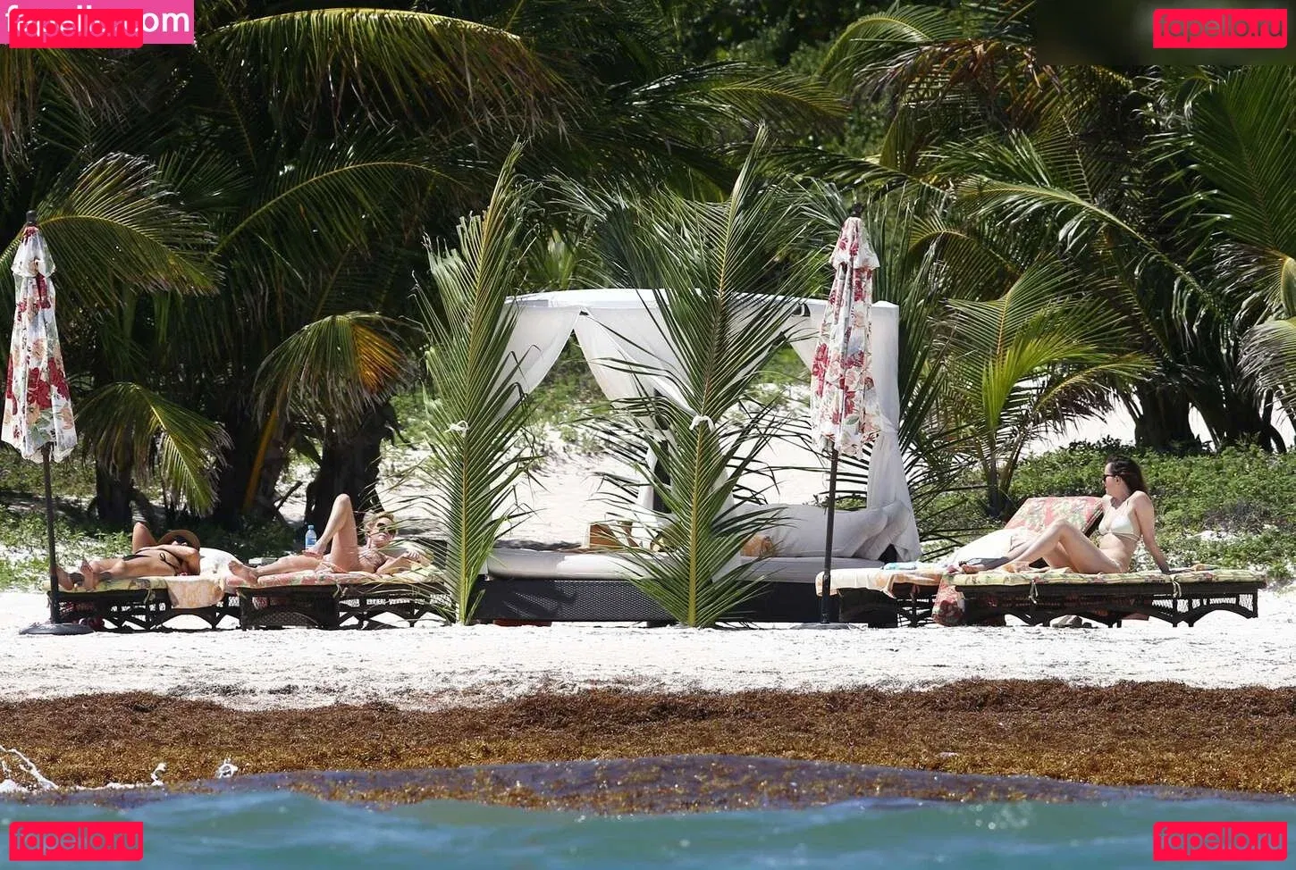 Dakota Johnson Onlyfans Photo Gallery 