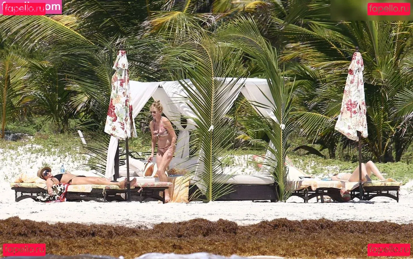 Dakota Johnson Onlyfans Photo Gallery 