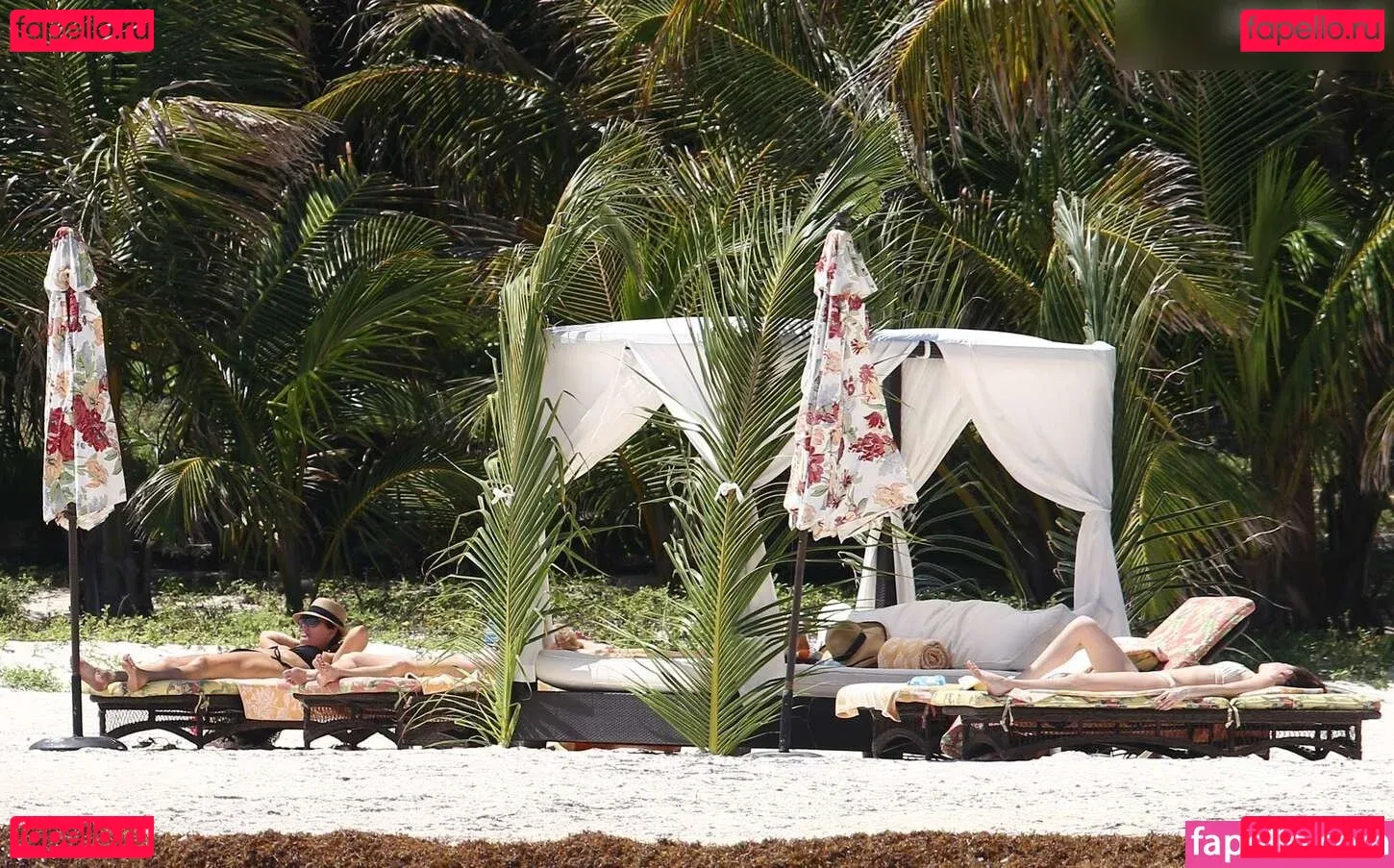 Dakota Johnson Onlyfans Photo Gallery 