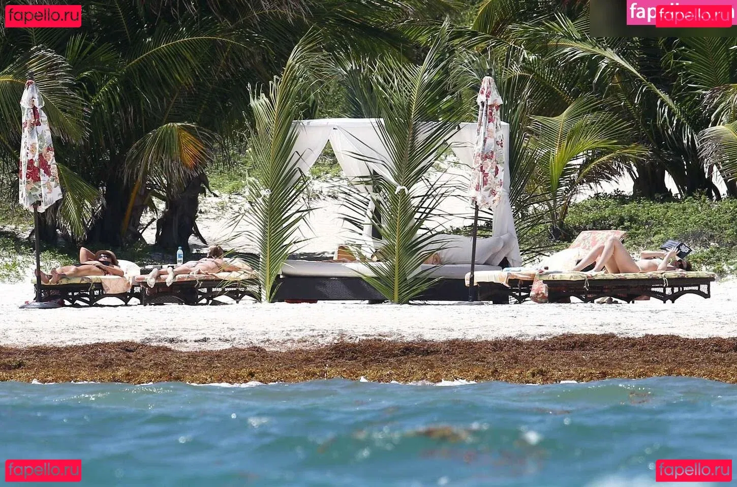 Dakota Johnson Onlyfans Photo Gallery 