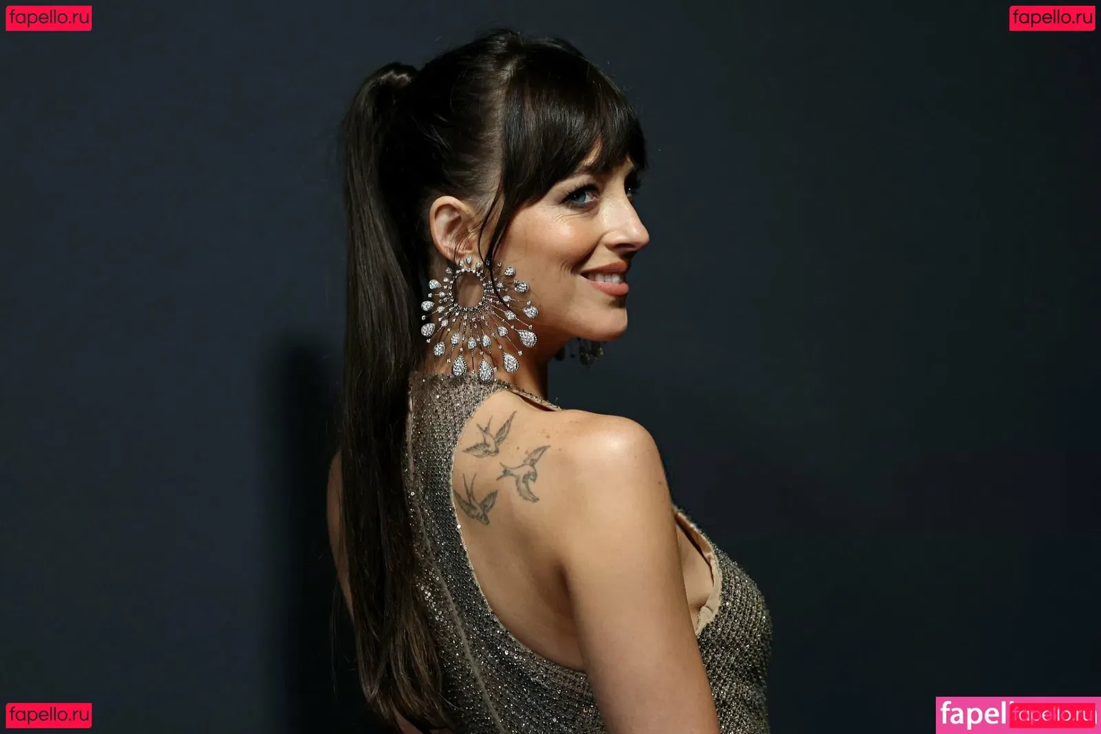 Dakota Johnson Onlyfans Photo Gallery 