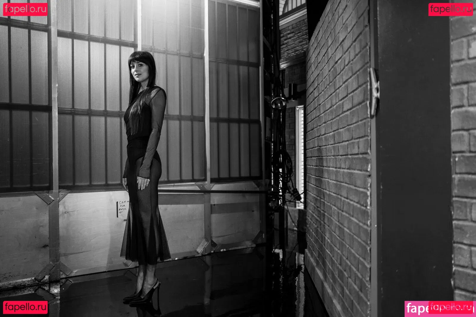 Dakota Johnson Onlyfans Photo Gallery 