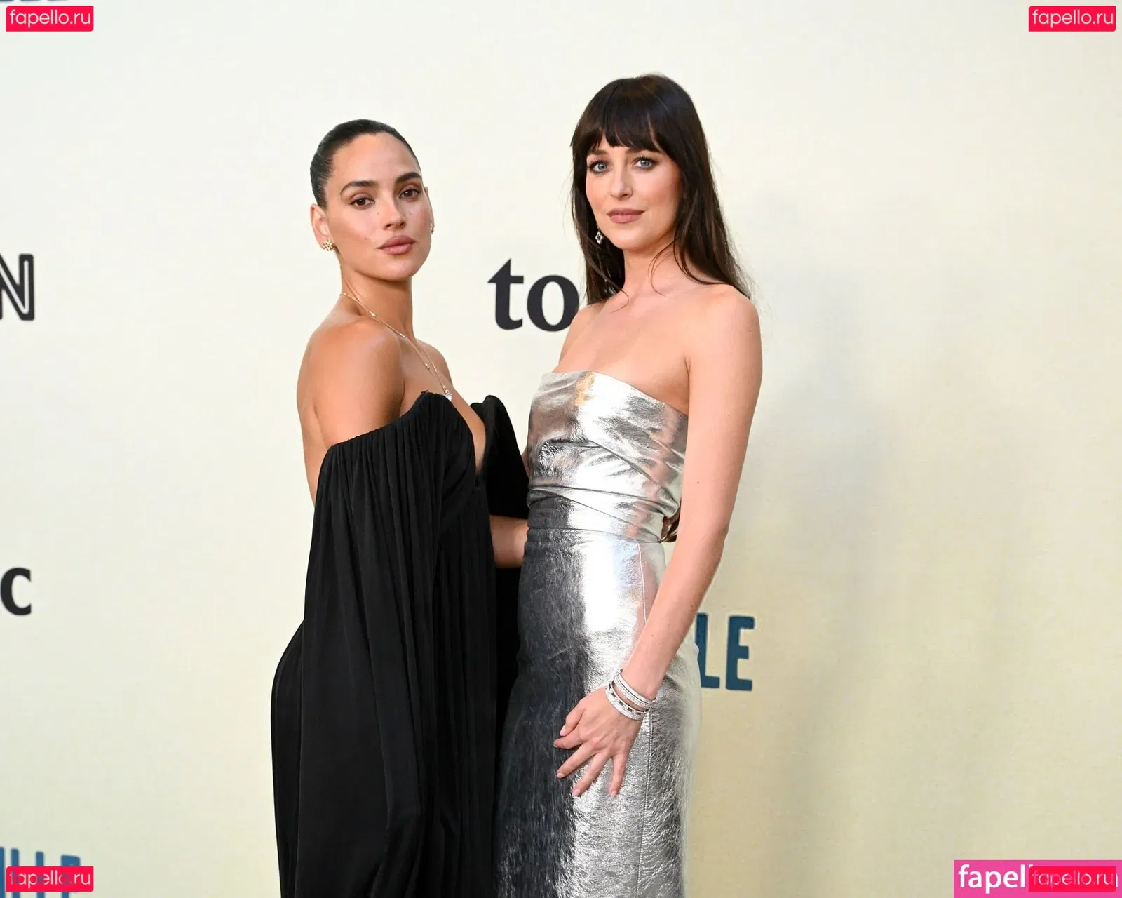 Dakota Johnson Onlyfans Photo Gallery 