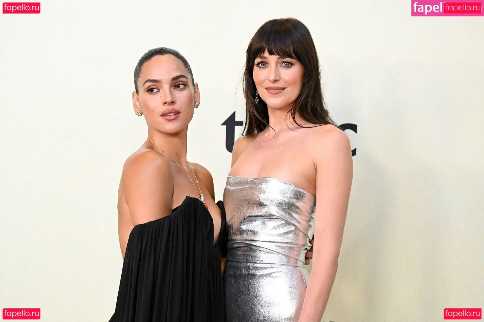 Dakota Johnson Onlyfans Photo Gallery 