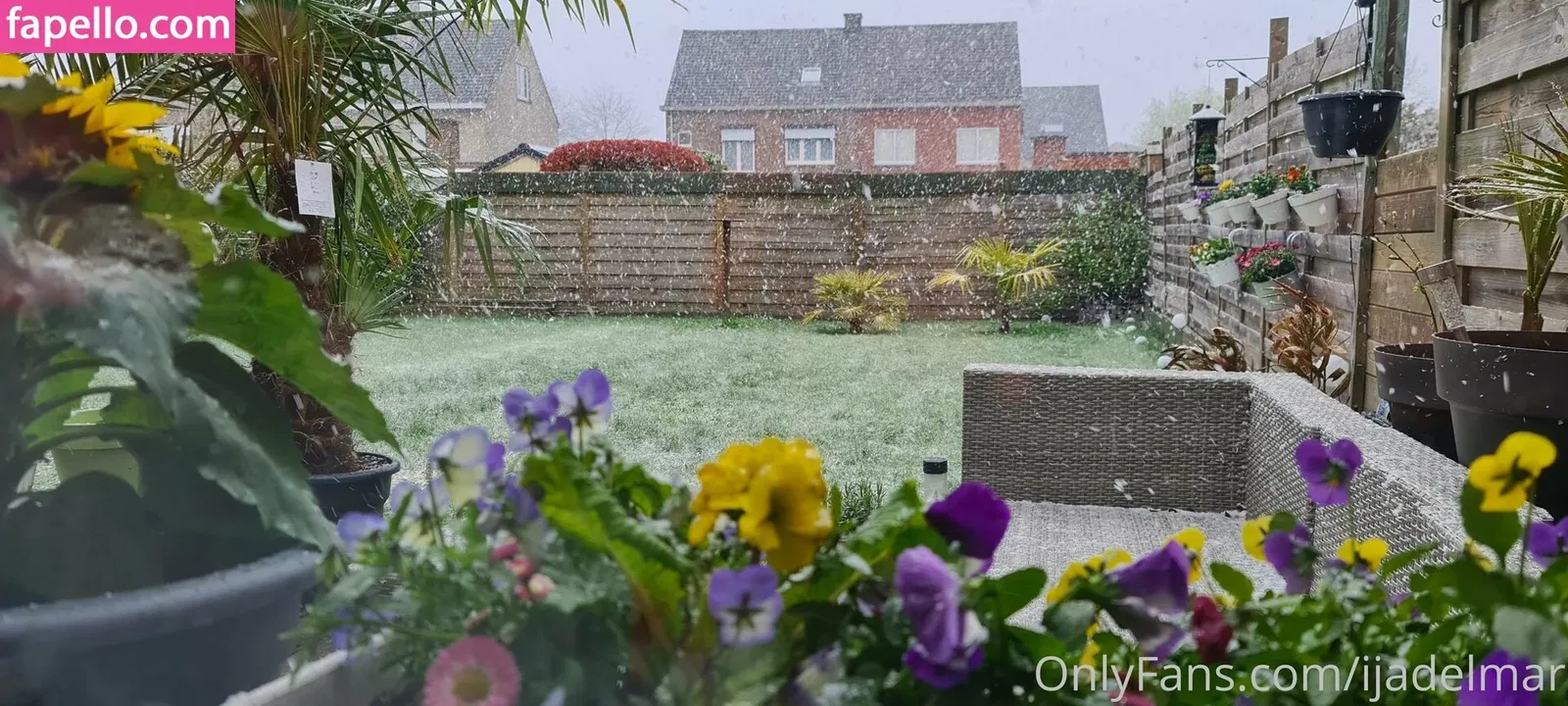 ijadelmar Onlyfans Photo Gallery 