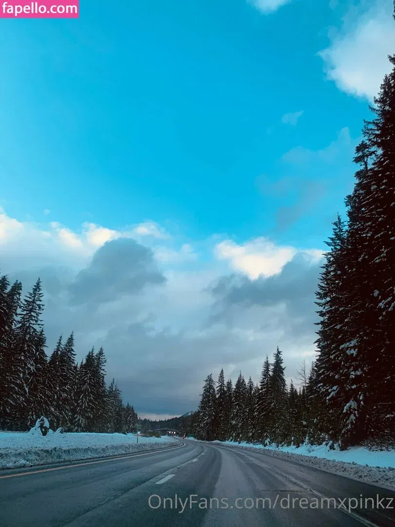 dreamxpinkz Onlyfans Photo Gallery 