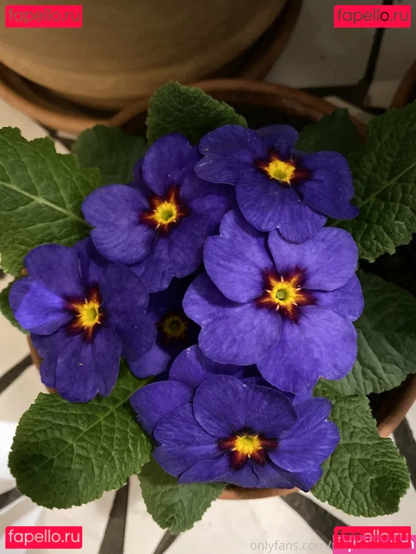 florence_agapi Onlyfans Photo Gallery 