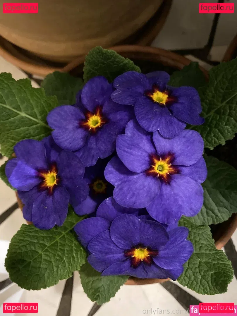 florence_agapi Onlyfans Photo Gallery 