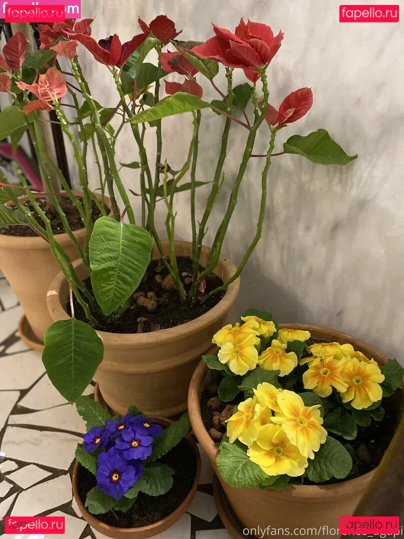 florence_agapi Onlyfans Photo Gallery 