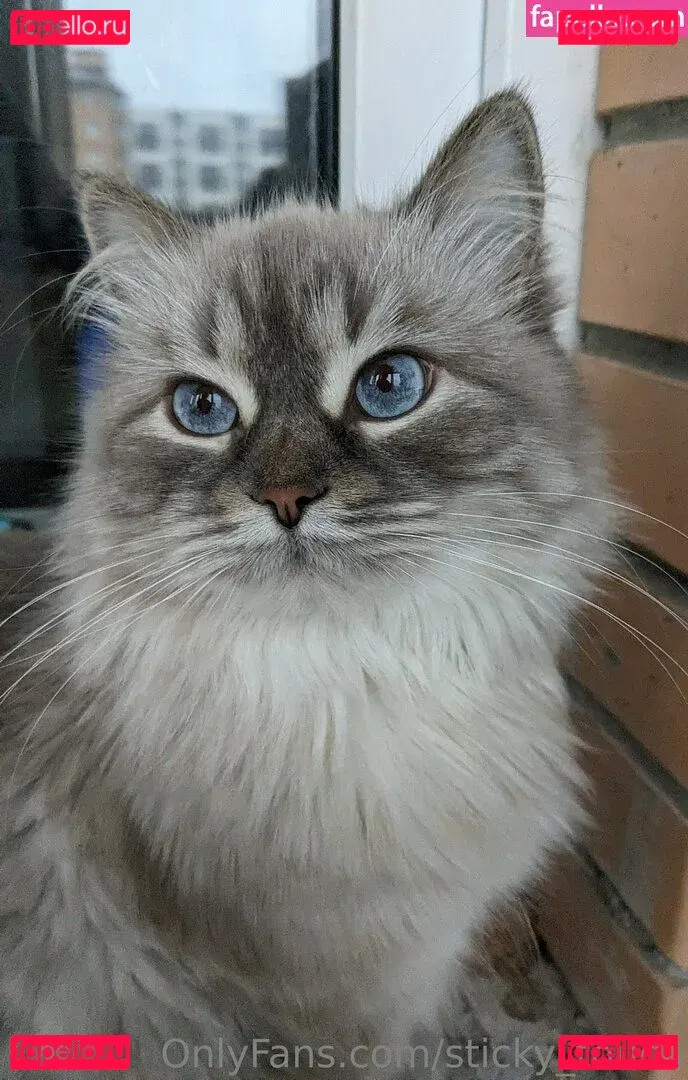 sticky_touch Onlyfans Photo Gallery 