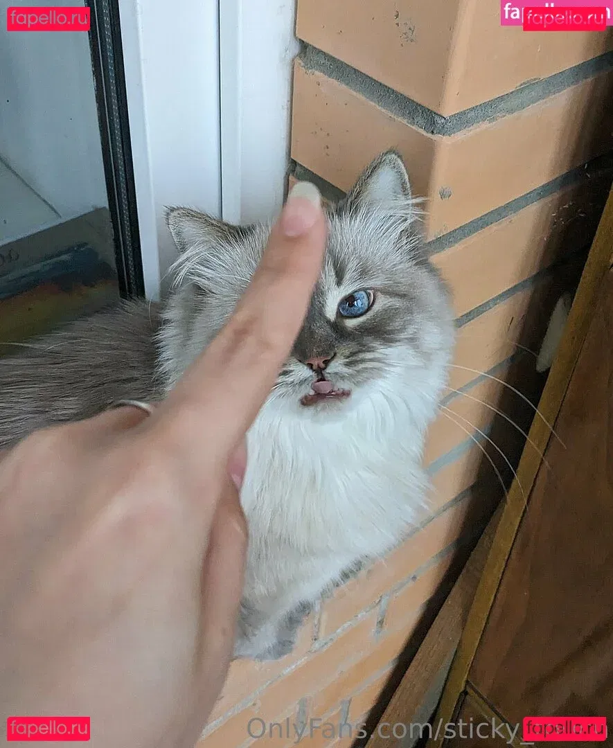 sticky_touch Onlyfans Photo Gallery 