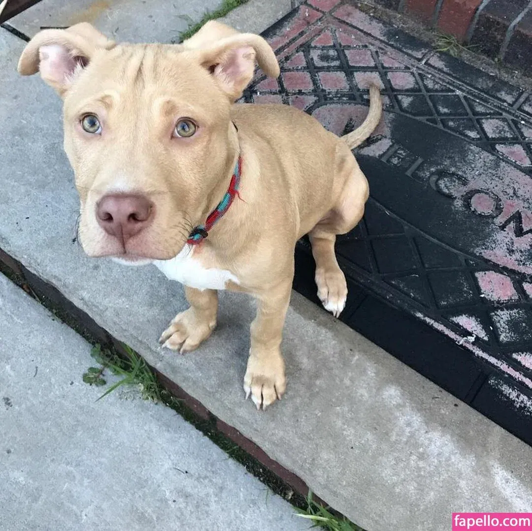 Joanne Onlyfans Photo Gallery 