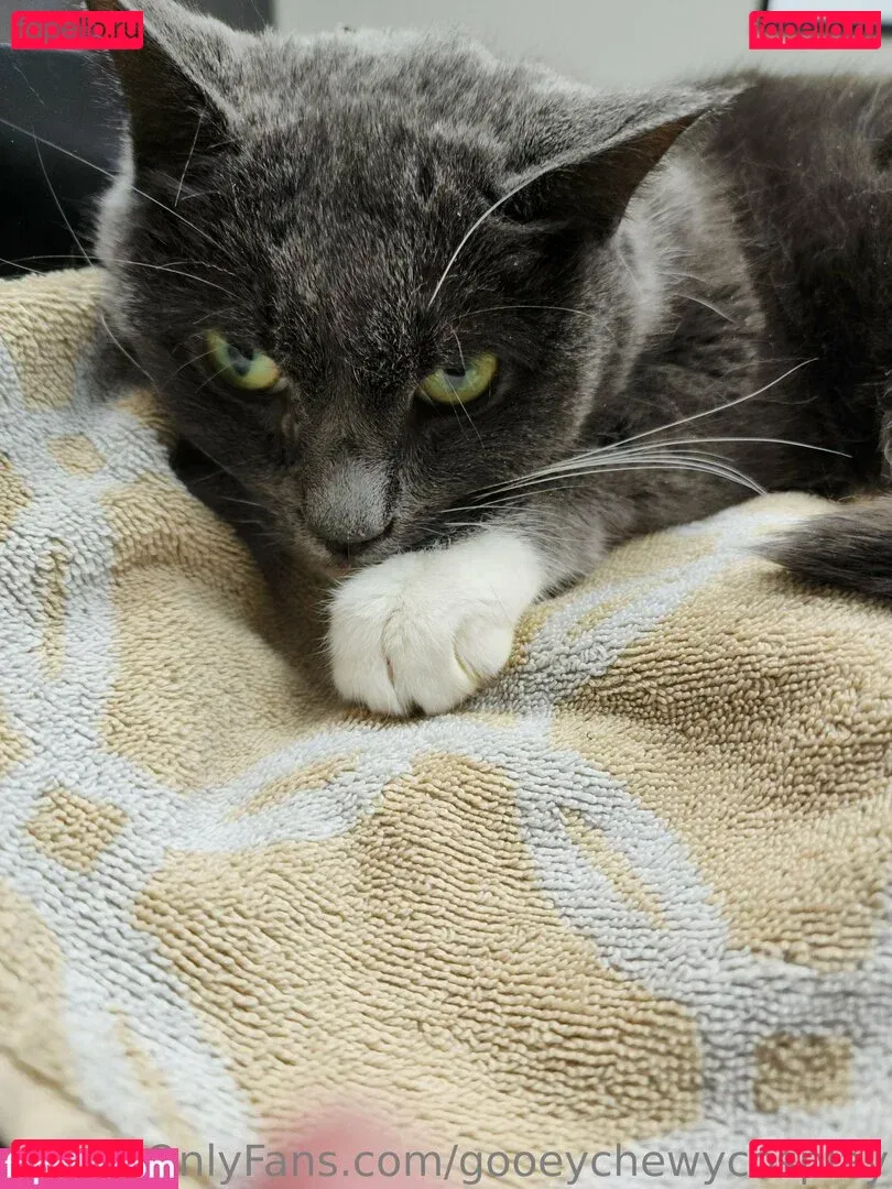 gooeychewycosplay Onlyfans Photo Gallery 