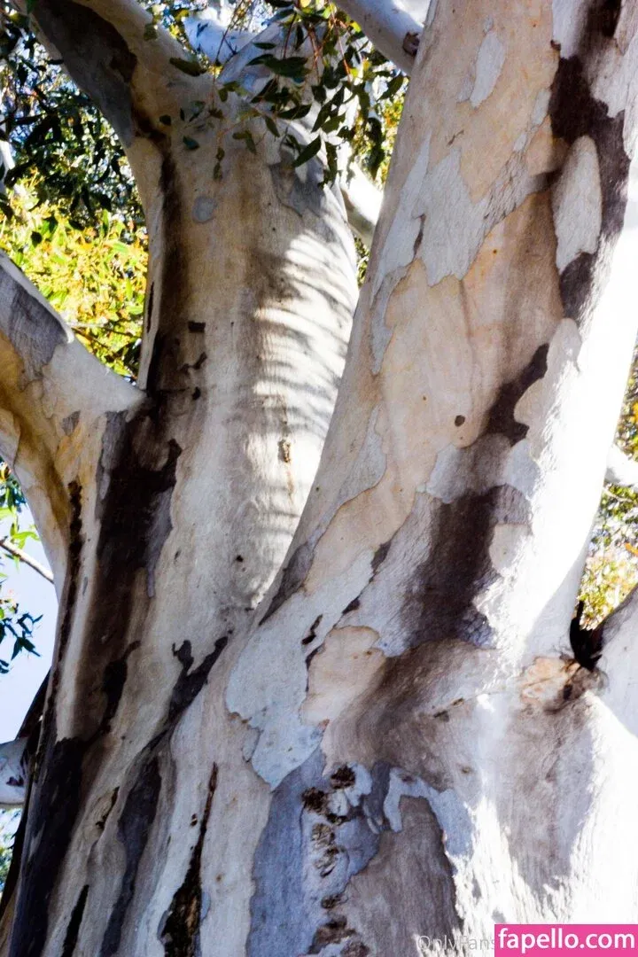 nicketta Onlyfans Photo Gallery 