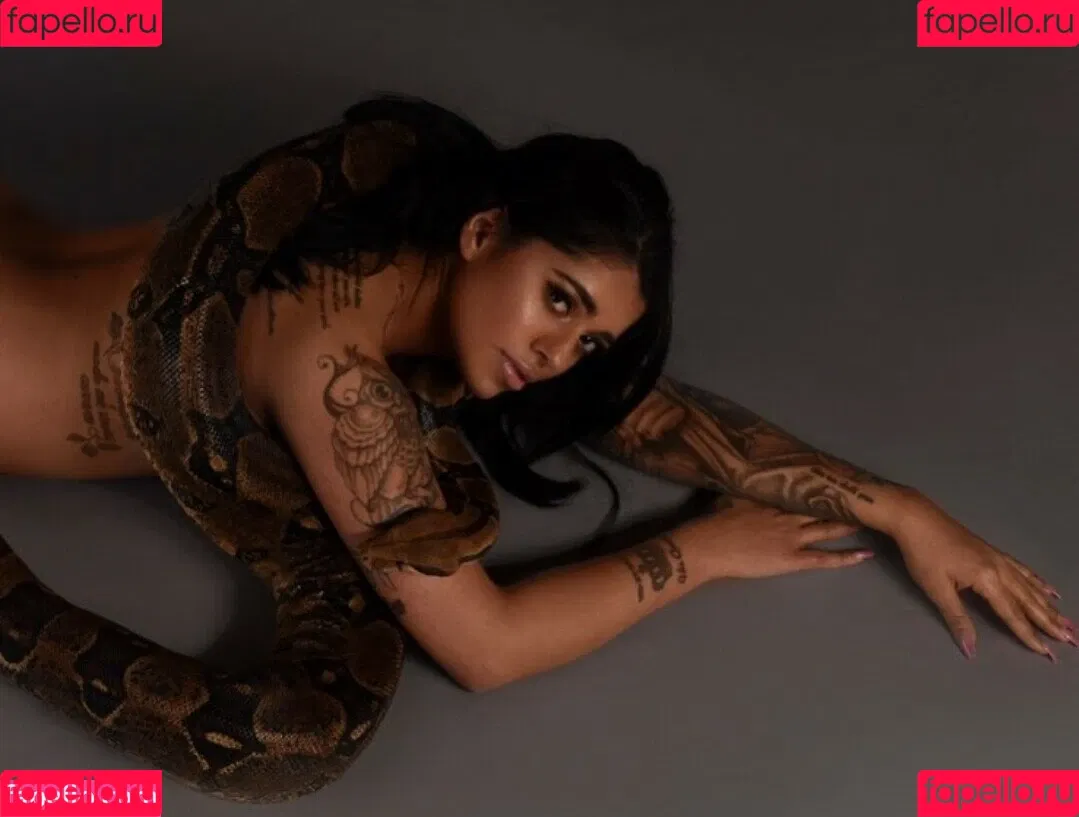 Mikayla Dabash Onlyfans Photo Gallery 