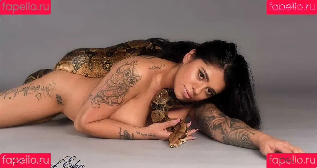 Mikayla Dabash Onlyfans Photo Gallery 