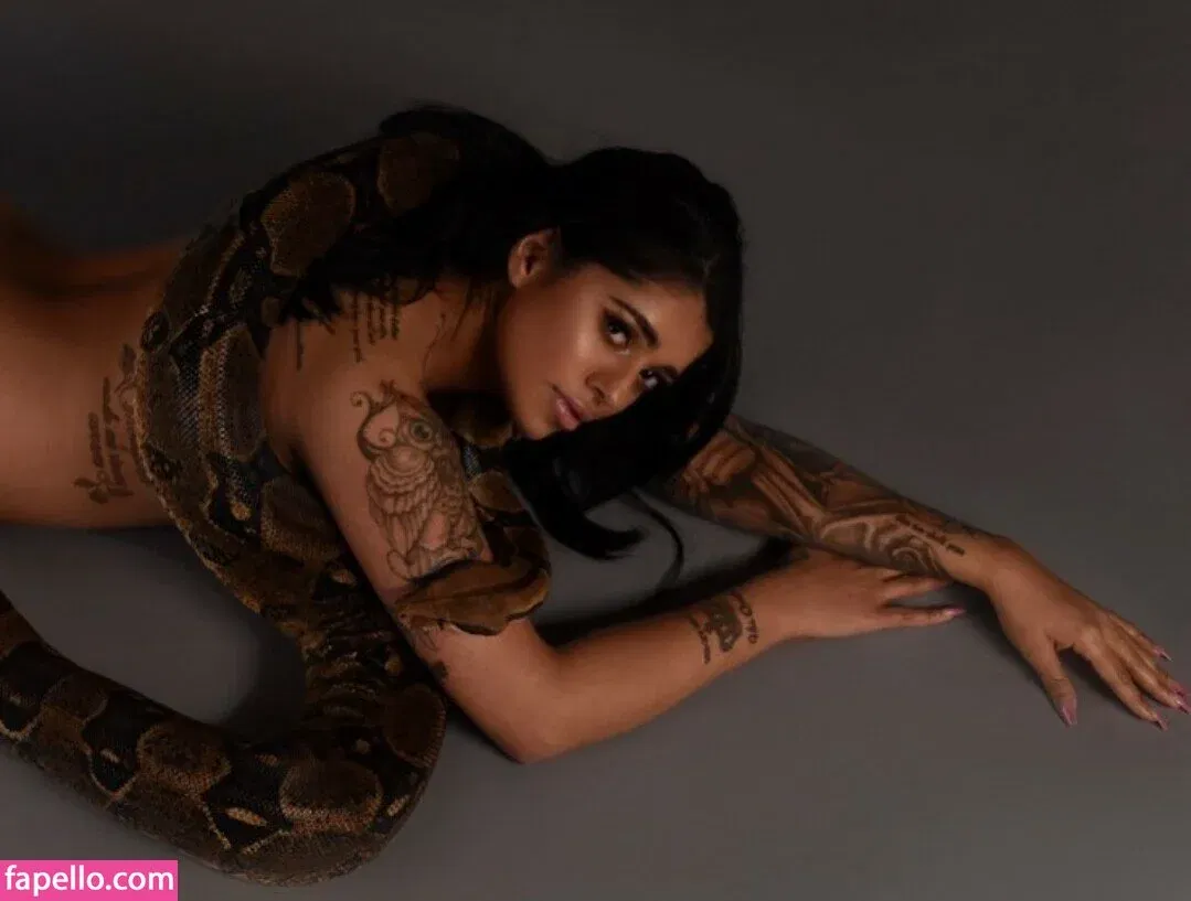 Mikayla Dabash Onlyfans Photo Gallery 