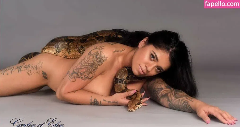 Mikayla Dabash Onlyfans Photo Gallery 