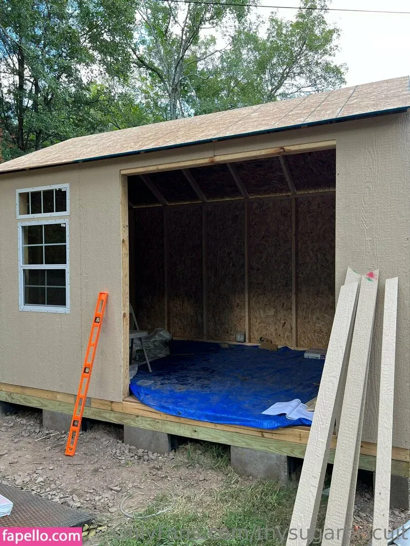 thysugarbiscuit Onlyfans Photo Gallery 