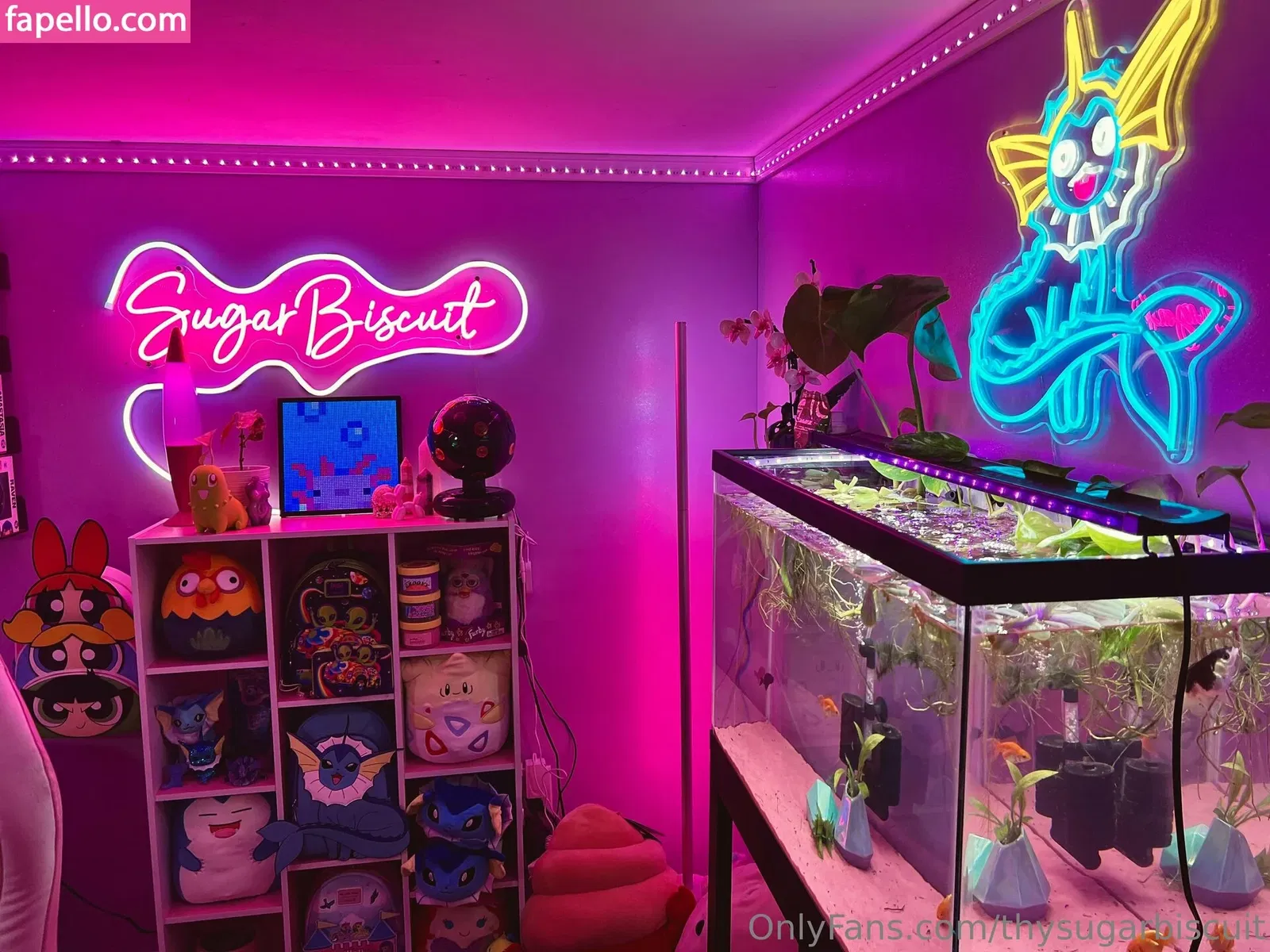 thysugarbiscuit Onlyfans Photo Gallery 