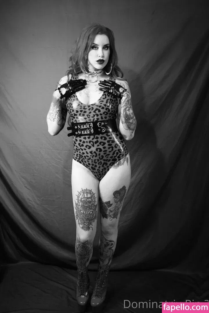 rixrin Onlyfans Photo Gallery 