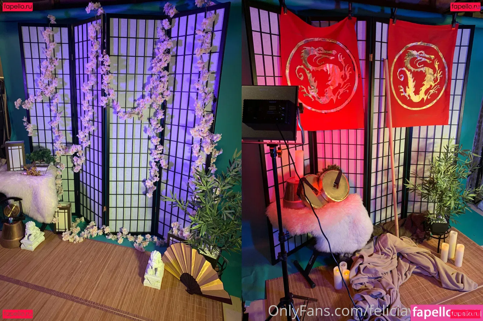 FeliciaVox Onlyfans Photo Gallery 