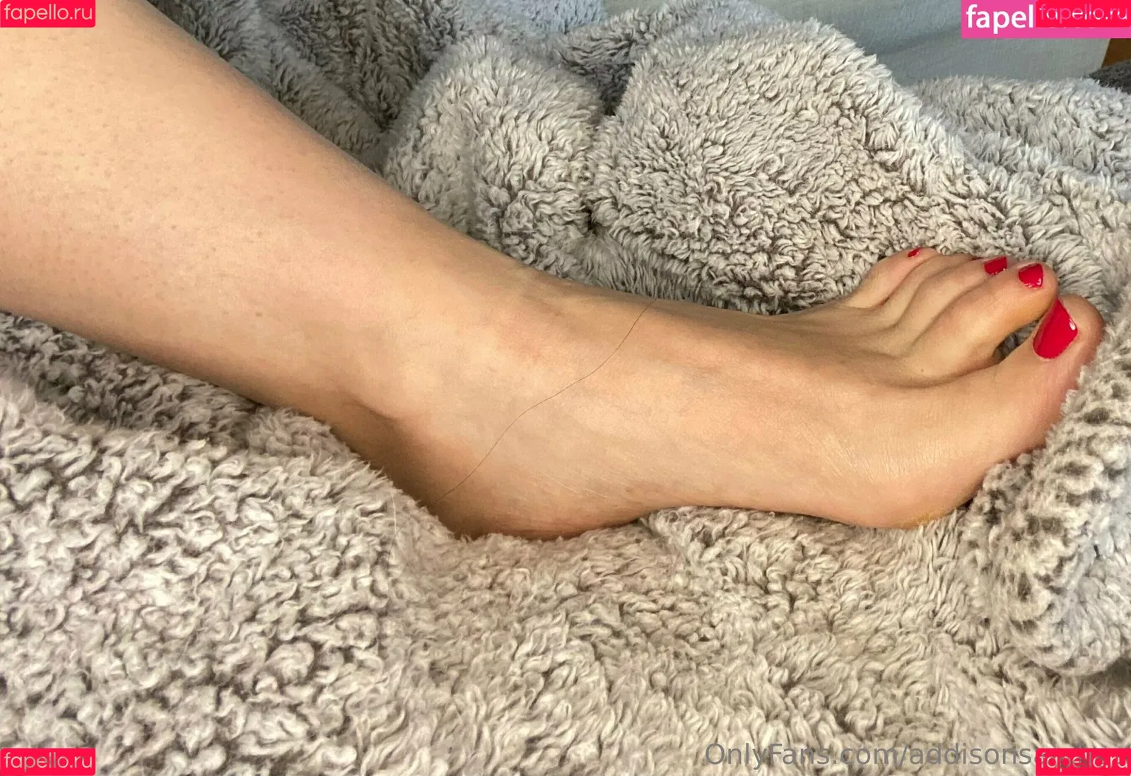 addisonsarches Onlyfans Photo Gallery 