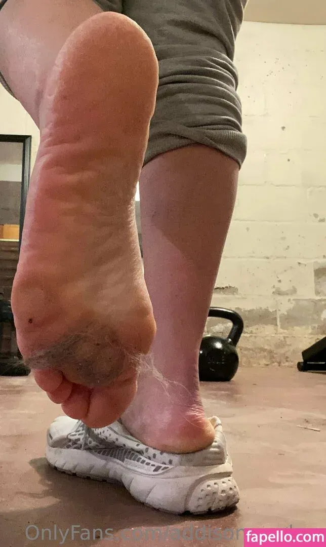 addisonsarches Onlyfans Photo Gallery 