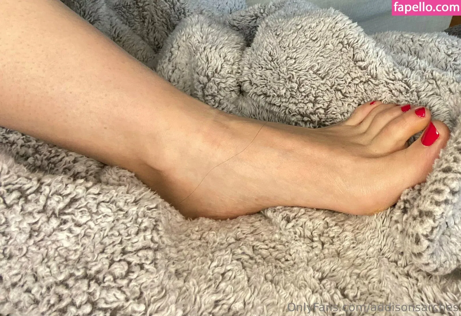 addisonsarches Onlyfans Photo Gallery 