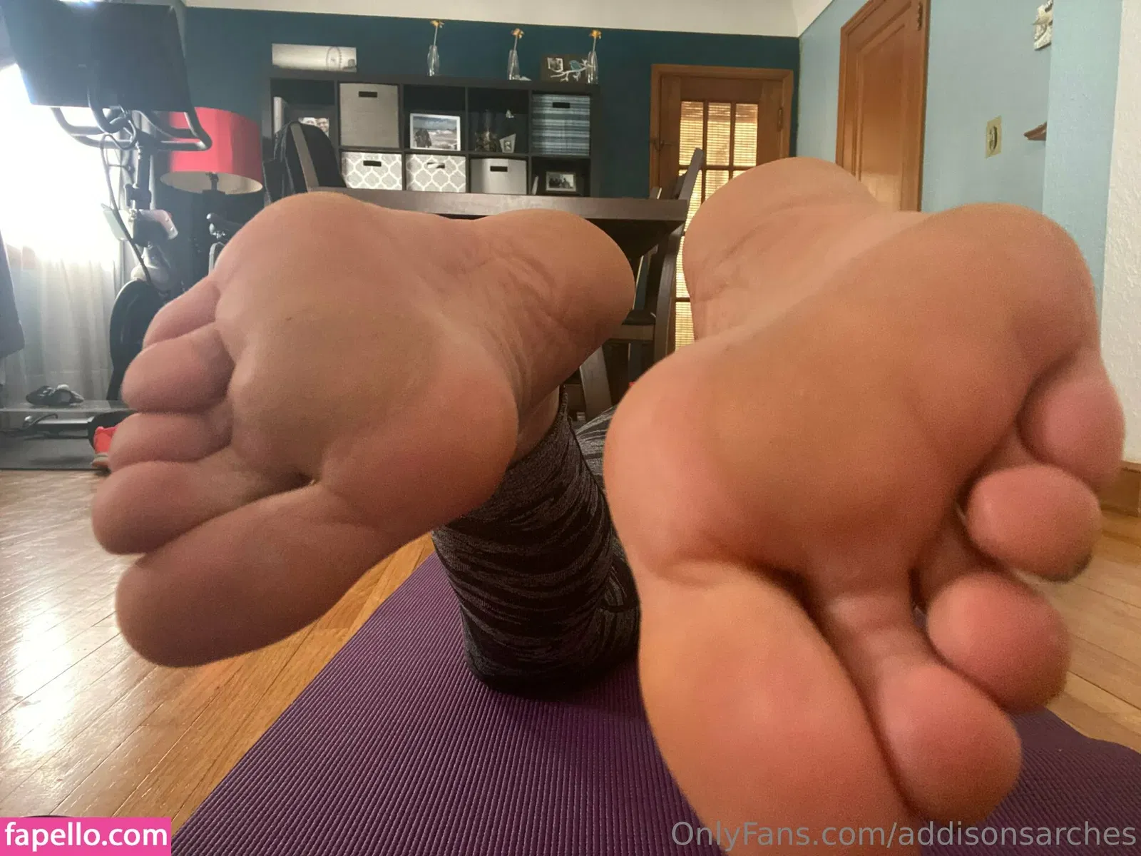 addisonsarches Onlyfans Photo Gallery 