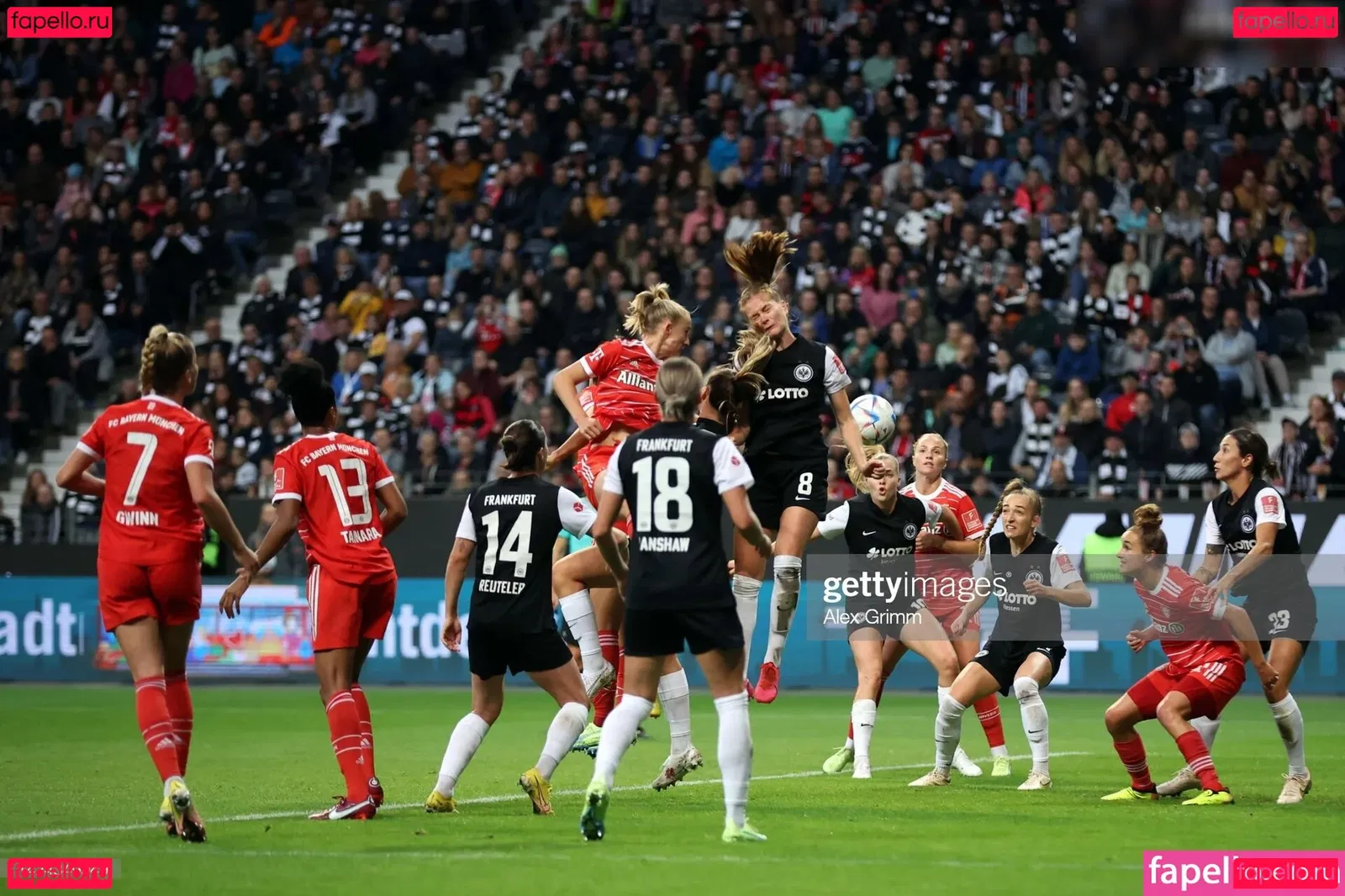 Giulia Gwinn Onlyfans Photo Gallery 