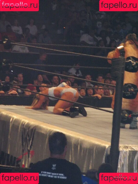 WWE Michelle McCool Onlyfans Photo Gallery 