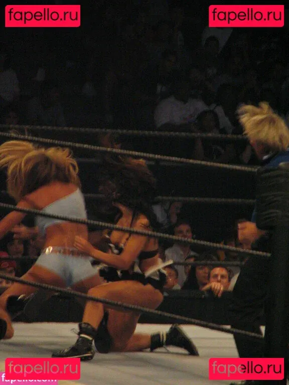 WWE Michelle McCool Onlyfans Photo Gallery 