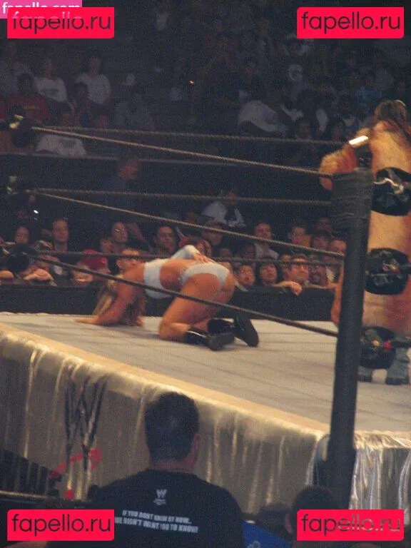 WWE Michelle McCool Onlyfans Photo Gallery 