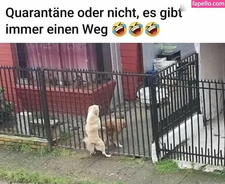 NSFW Funny Onlyfans Photo Gallery 