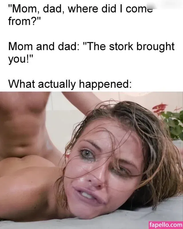 NSFW Funny Onlyfans Photo Gallery 