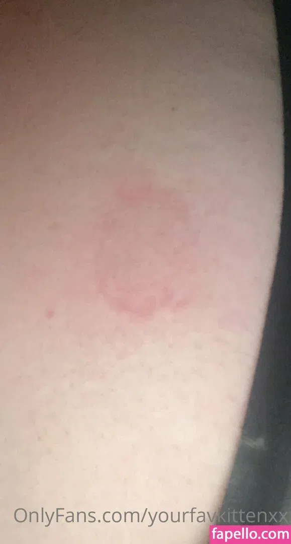 yourfavkittenxx Onlyfans Photo Gallery 