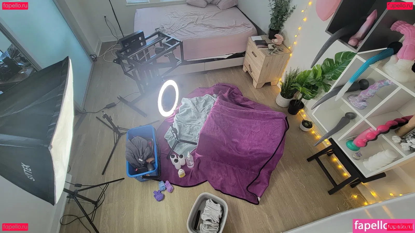 amyivy Onlyfans Photo Gallery 