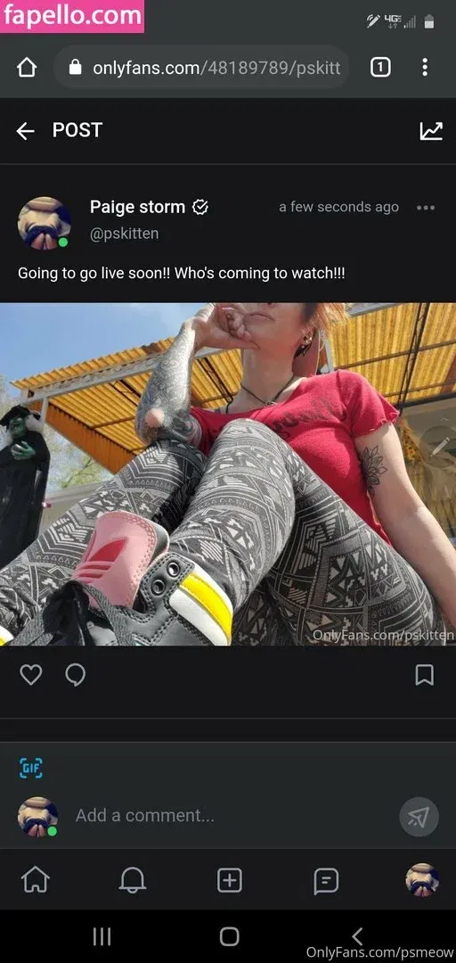 psmeow Onlyfans Photo Gallery 