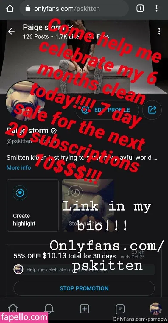 psmeow Onlyfans Photo Gallery 