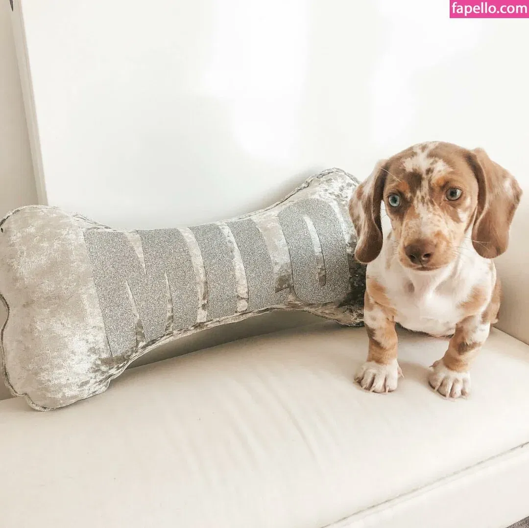 Coco Lodge Onlyfans Photo Gallery 