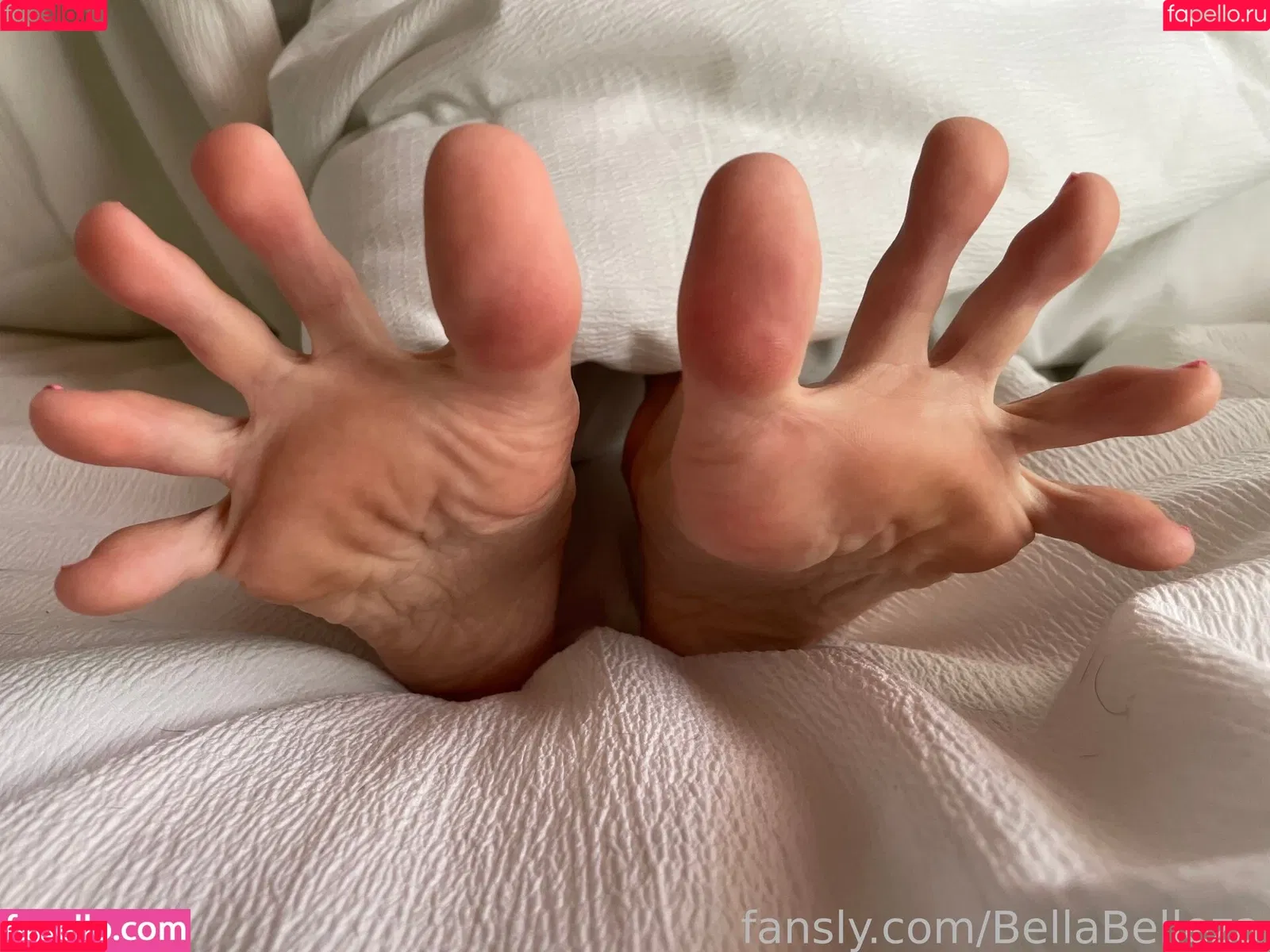 BellaBelleza Onlyfans Photo Gallery 