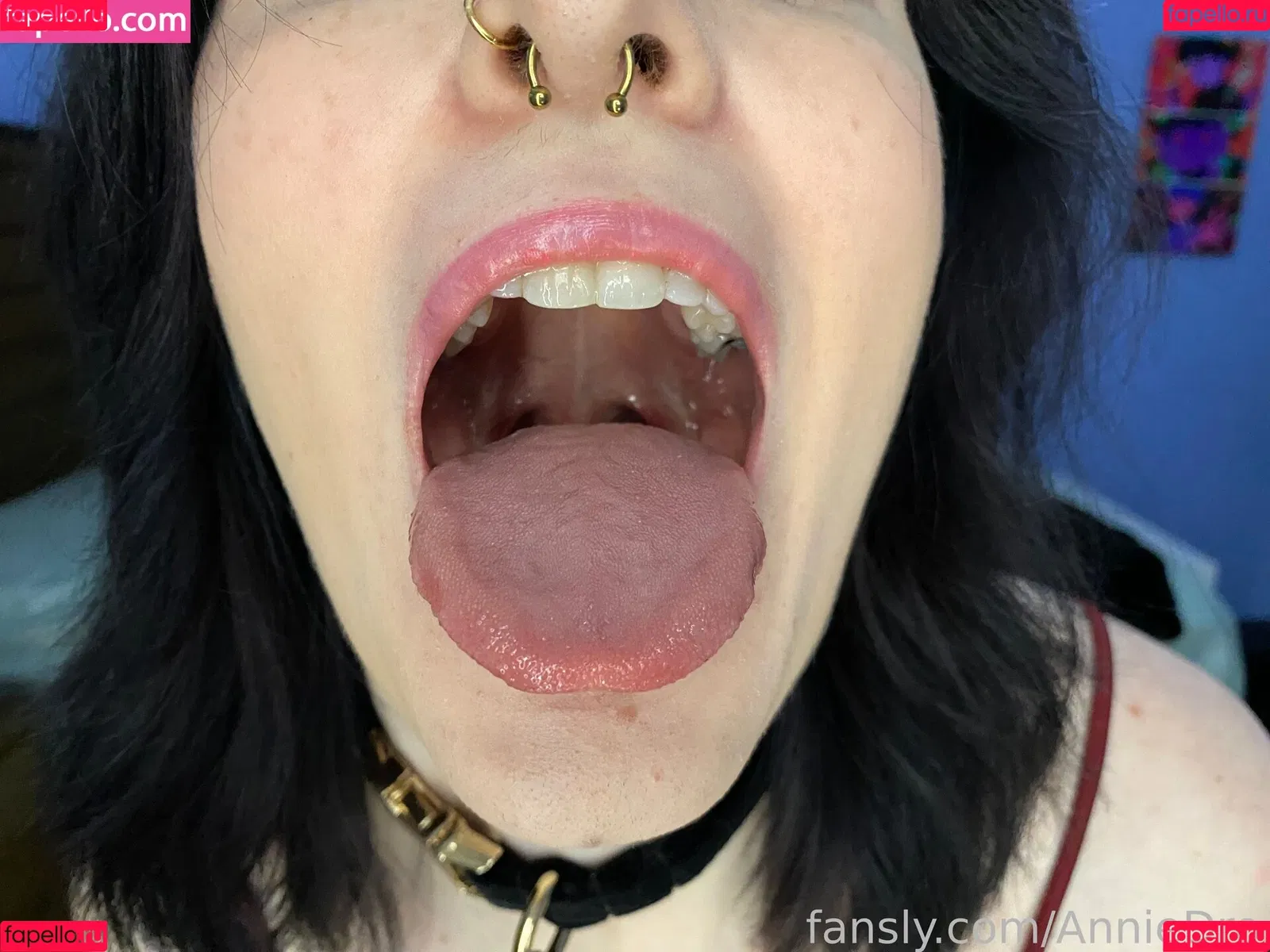 AnnieDro Onlyfans Photo Gallery 