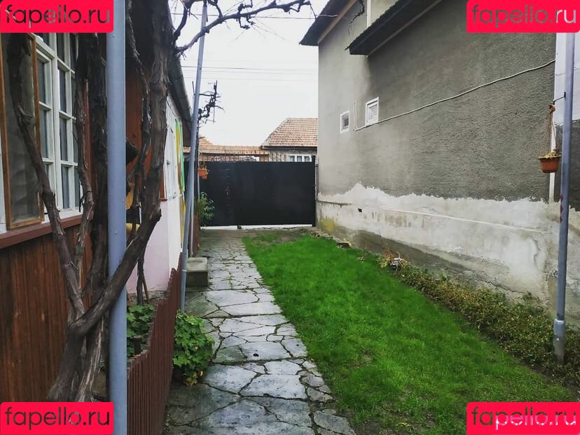 Moniquemargo Onlyfans Photo Gallery 