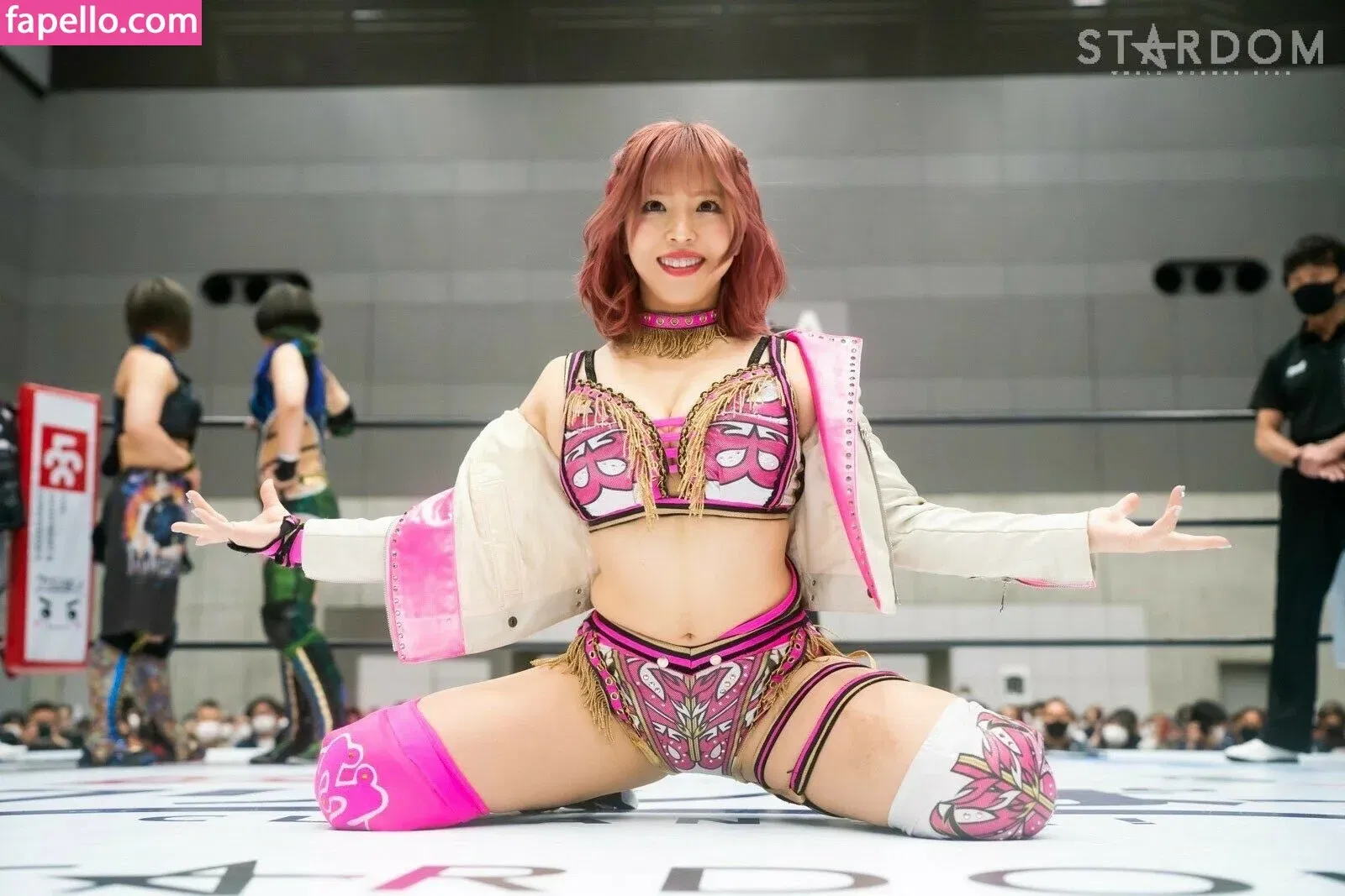 Mina Shirakawa Onlyfans Photo Gallery 