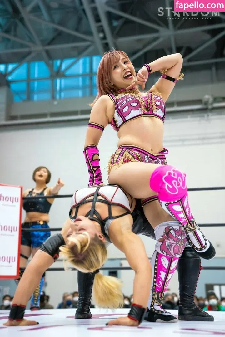 Mina Shirakawa Onlyfans Photo Gallery 