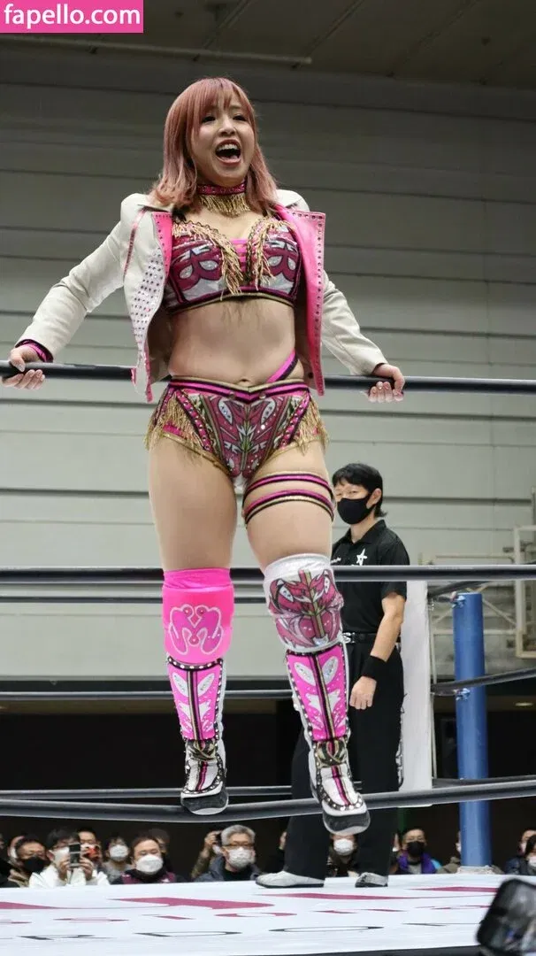 Mina Shirakawa Onlyfans Photo Gallery 